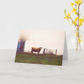 ヴィンテージ牧場 カード (黄色い花)