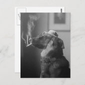 ヴィンテージ犬おもしろい着用ハット喫煙たばこ ポストカード (正面/裏面)