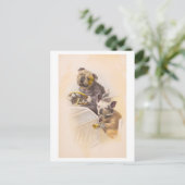 ヴィンテージ犬が車を運転 ポストカード (スタンド正面)