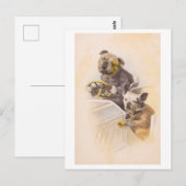 ヴィンテージ犬が車を運転 ポストカード (正面/裏面)