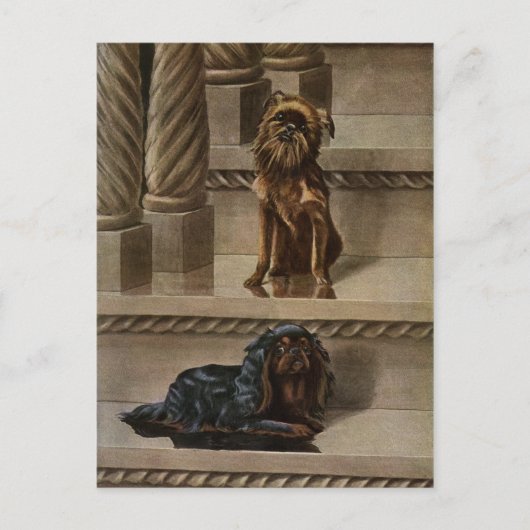 ヴィンテージ犬が階段のはがきに座る|過去記事 ポストカード (正面)