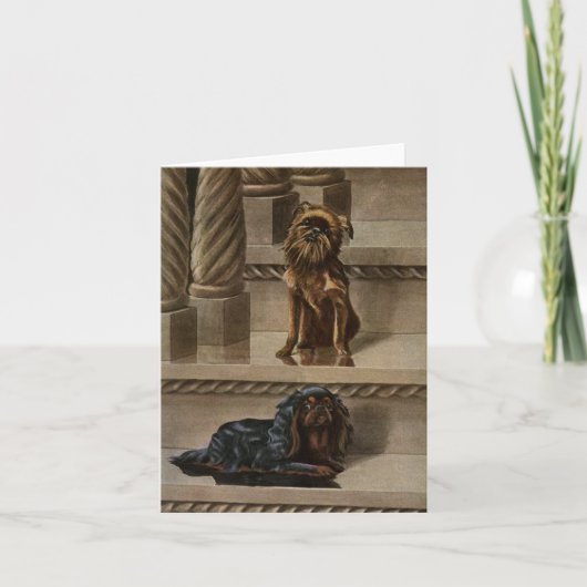 ヴィンテージ犬が階段のノートカードに座る カード (正面)