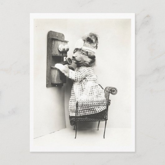 ヴィンテージ犬が電話をかける ポストカード (正面)