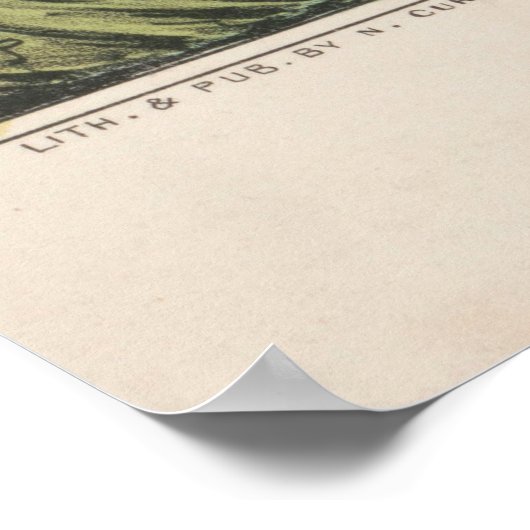 ヴィンテージ犬のイラストレーション(1846) ポスター (角)