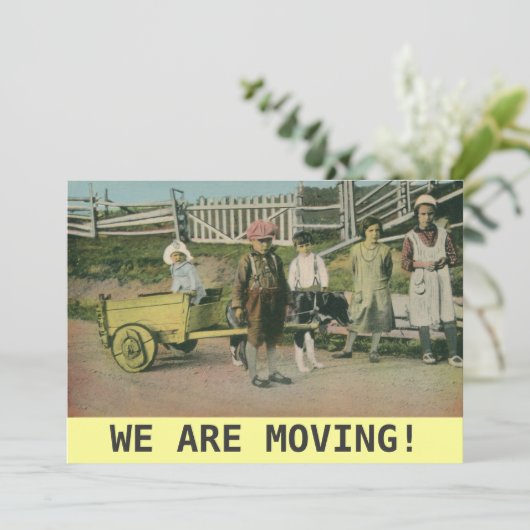 ヴィンテージ犬のカート私達は発表を動かしています 案内状 (スタンド正面)