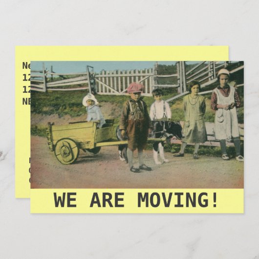 ヴィンテージ犬のカート私達は発表を動かしています 案内状 (正面/裏面)