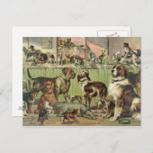 ヴィンテージ犬の郵便はがき ポストカード (正面/裏面)