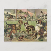 ヴィンテージ犬の郵便はがき ポストカード (正面)