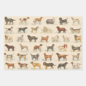ヴィンテージ犬の飼育スケッチ パターン（の模様が）ある ラッピングペーパーシート (正面2)