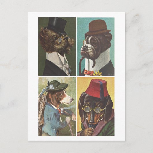 ヴィンテージ犬服葉書 ポストカード (正面)
