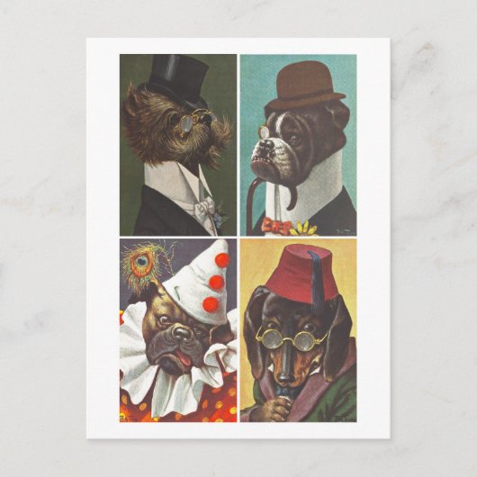 ヴィンテージ犬服葉書 ポストカード (正面)