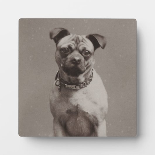 ヴィンテージ犬 フォトプラーク (正面)