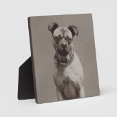 ヴィンテージ犬 フォトプラーク (正面)