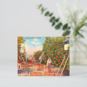 ヴィンテージ狩り(フロリダ旅行) ポストカード (スタンド正面)