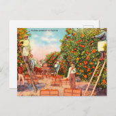 ヴィンテージ狩り(フロリダ旅行) ポストカード (正面/裏面)