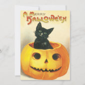 ヴィンテージ猫がカボチャの招待状に座る 招待状 (正面)
