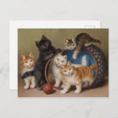 ヴィンテージ猫が赤いボールをソフィー・シュペリッヒを生み出す ポストカード (正面/裏面)