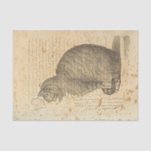 ヴィンテージ猫のティッシュペーパー 薄葉紙 (正面)