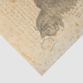 ヴィンテージ猫のティッシュペーパー 薄葉紙 (詳細)