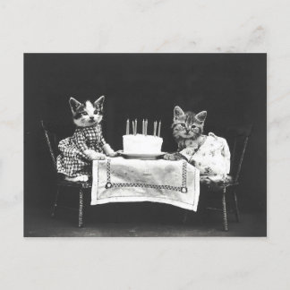 ヴィンテージ猫の誕生日パーティー ポストカード