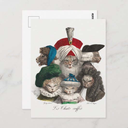 ヴィンテージ猫はがき ポストカード (正面/裏面)