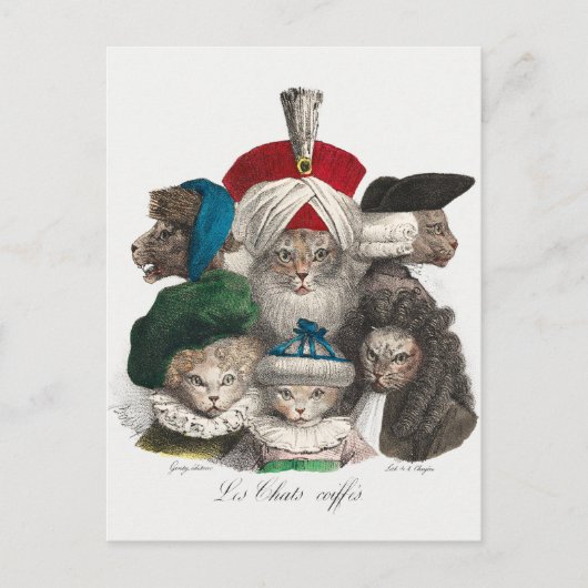 ヴィンテージ猫はがき ポストカード (正面)