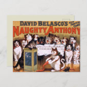 ヴィンテージ猫はがき ポストカード (正面/裏面)