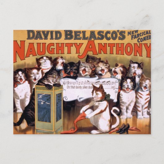 ヴィンテージ猫はがき ポストカード (正面)