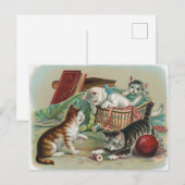 ヴィンテージ猫はがき ポストカード (正面/裏面)