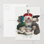 ヴィンテージ猫はがき ポストカード (正面/裏面)