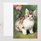ヴィンテージ猫イラストレーションと赤い花 セーブザデート (正面/裏面)