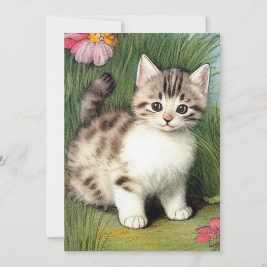 ヴィンテージ猫イラストレーションと赤い花 案内状 (正面)