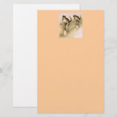 ヴィンテージ猫オンバイク 便箋 (正面/裏面)