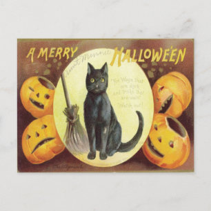 ヴィンテージ猫ハロウィーン ポストカード