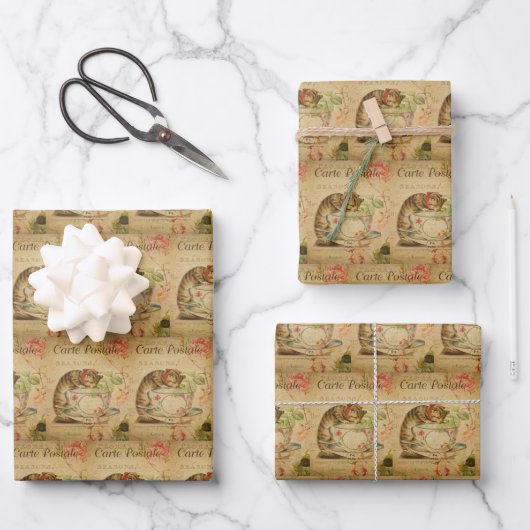 ヴィンテージ猫ペット猫スタイリッシュ猫レトロ ラッピングペーパーシート (正面)