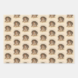 ヴィンテージ猫用ラッピング紙セット ラッピングペーパーシート
