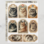 ヴィンテージ猫紙ラベル (正面/裏面)