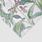 ヴィンテージ猫耳の花の野生の花のティッシュペーパー 薄葉紙 (詳細)