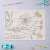 ヴィンテージ猫耳の野生の花によってはティッシュペーパーが開花します 薄葉紙 (クラフト)