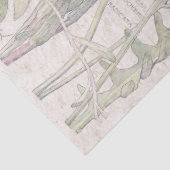 ヴィンテージ猫耳の野生の花によってはティッシュペーパーが開花します 薄葉紙 (詳細)