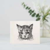 ヴィンテージ猫頭猫子猫ねん動物レトロ ポストカード (スタンド正面)