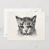 ヴィンテージ猫頭猫子猫ねん動物レトロ ポストカード (正面/裏面)