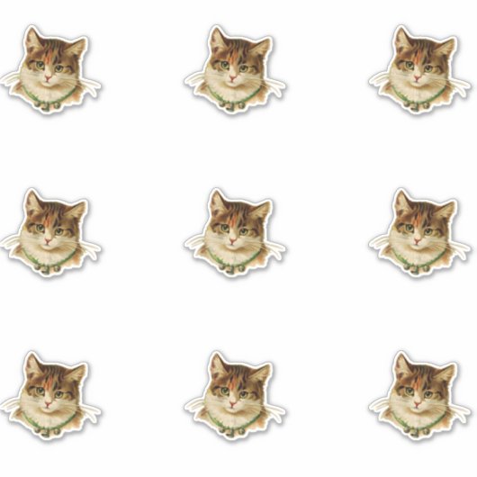 ヴィンテージ猫 シール (正面)