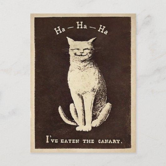 ヴィンテージ猫 ポストカード (正面)