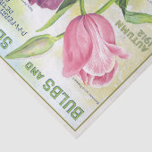 ヴィンテージ球根と種子1912チューリップ 薄葉紙 (詳細)