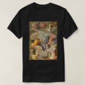 ヴィンテージ生物学の本イラストレーション Tシャツ (デザイン正面)
