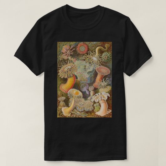ヴィンテージ生物学の本イラストレーション Tシャツ (デザイン正面)