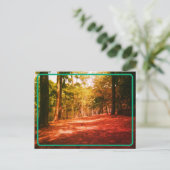 ヴィンテージ用森はがき ポストカード (スタンド正面)