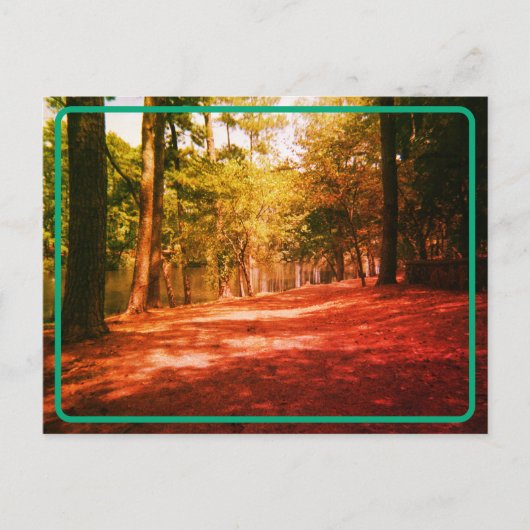 ヴィンテージ用森はがき ポストカード (正面)