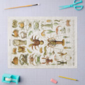 ヴィンテージ甲殻類海洋生物の分離 薄葉紙 (クラフト)